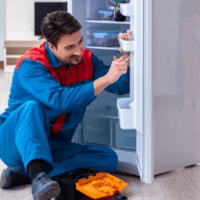 Fridge & Freezer